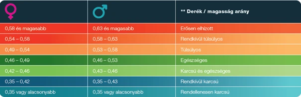Derék magasság arány