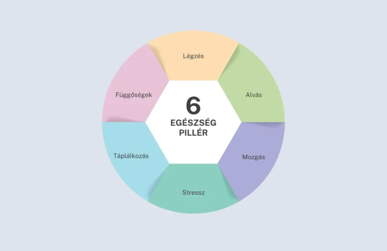 egészség 6 pillére
