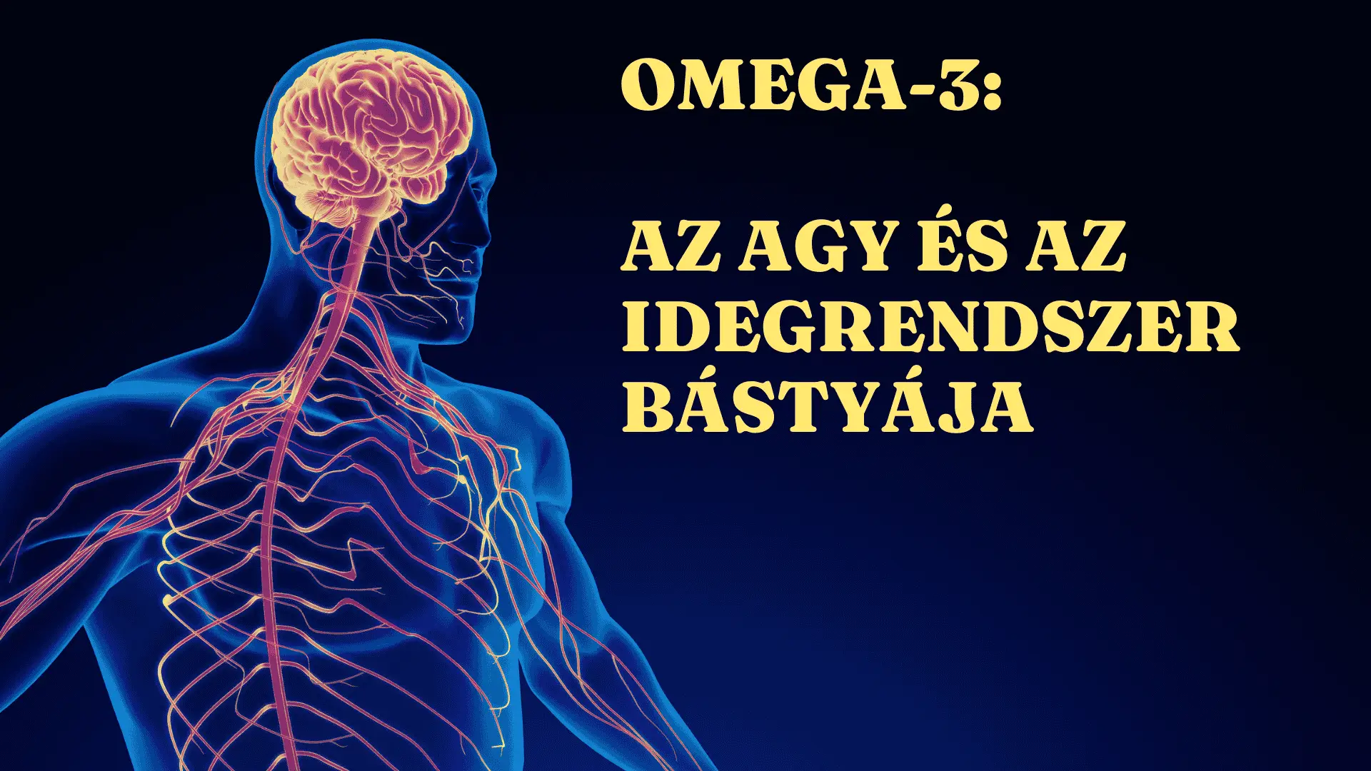 Omega-3: 7 ok miért nélkülözhetetlen a testednek és agyadnak