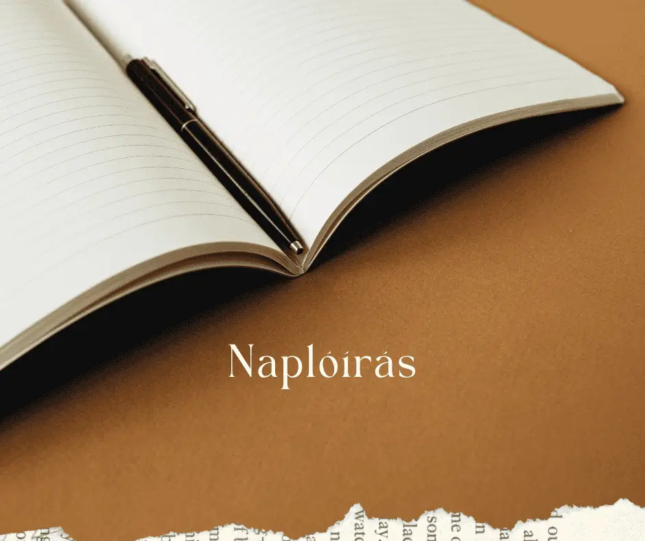 Naplóírás